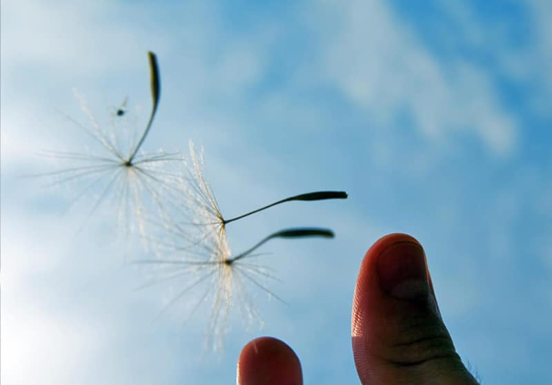 Malte_Frommelt-Coaching-hochix-coaching